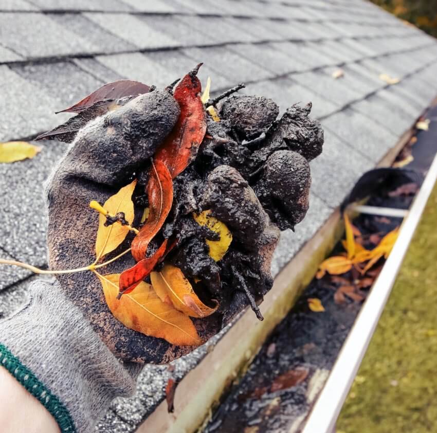 Gutter Cleaning