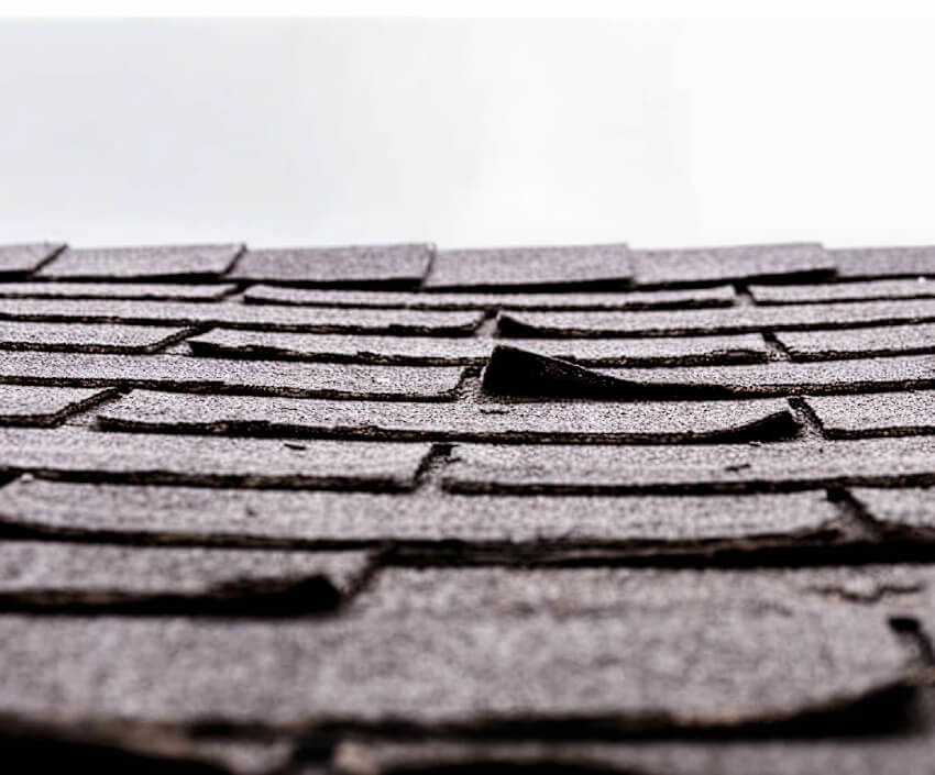 What are the signs you may need a new roof or repairs?