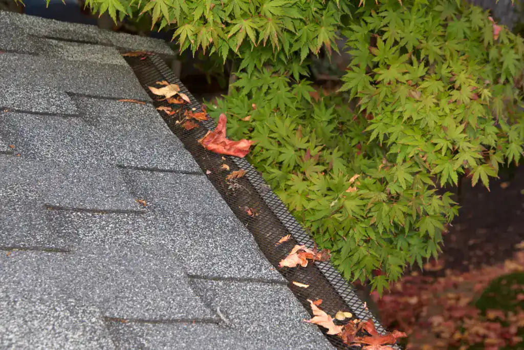 Gutter Guards & Leaf Protection: Price Breakdown for Iowa Homeowners